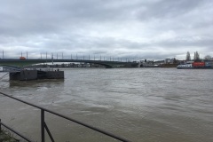 Am Rheinufer zum Tagungsort